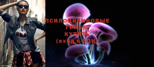 герыч Алексин